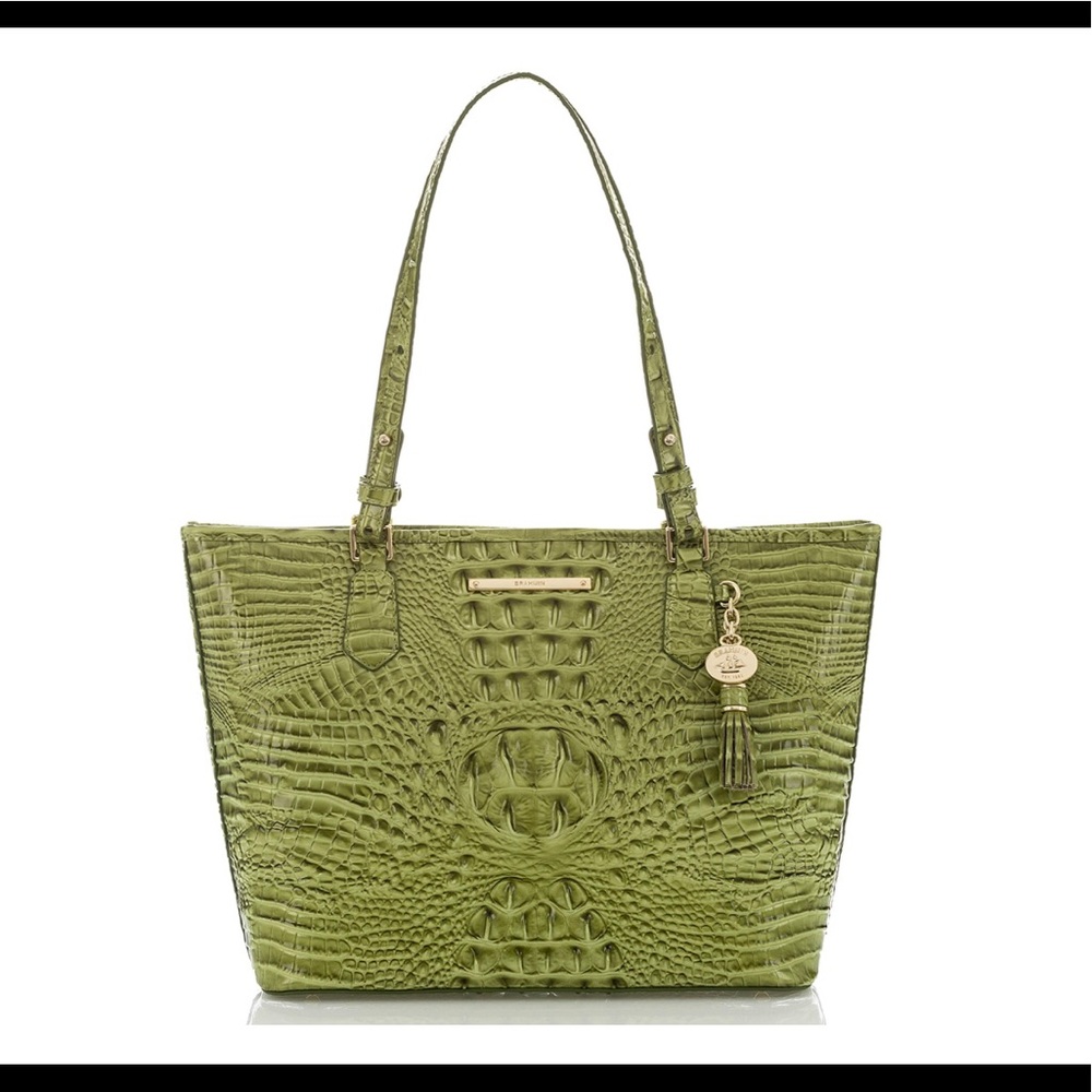 A beautiful Brahmin tote